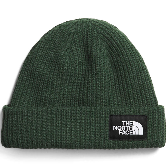 The North Face Salty Dog Beanie Pine NF0A3FJWI0P/R